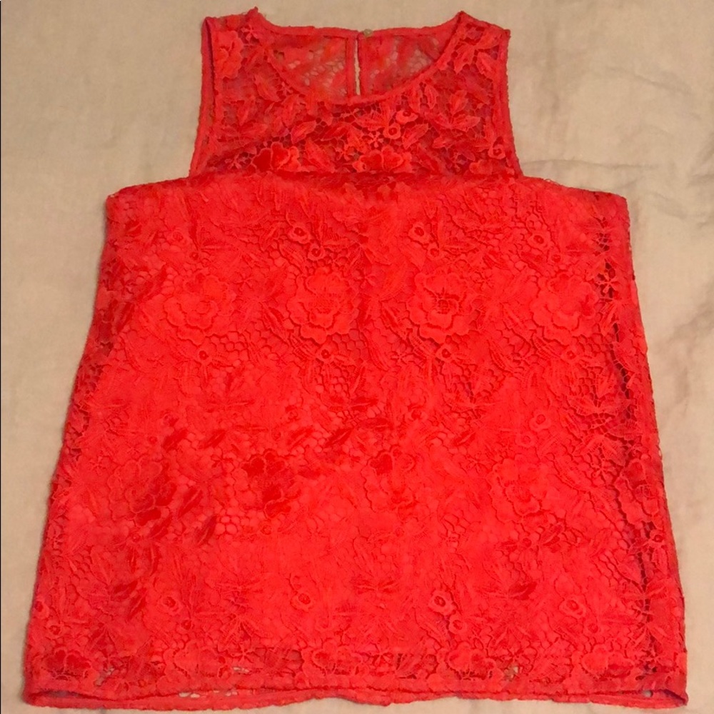 J. Crew Lace Sheath Dress, Poppy, Size 12. View 3